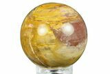 Colorful Petrified Wood (Araucaria) Sphere - Madagascar #286135-1